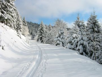Vom Oderteich nach Königskrug
