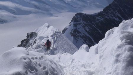 Aufstieg zum Mönch, auf dem Gipfelgrat