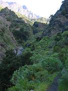 Weg oberhalb des Bachbetts