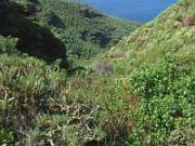 Barranco endet an der Küste