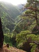 Barranco nahe Puntagorda