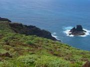 Steilküste mit Roque de Santo Domingo