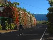 Straße Richtung Mirador El Time