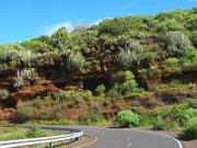 Straße nach Garafia