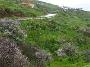 Straße zur Punta y Prois de Santo Domingo