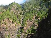 Der Wanderweg verläuft innerhalb der Ostwand.