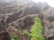 Stahlseilversicherung am Wanderweg