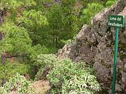 Endlich oben, etwa 1640m