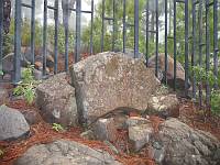 Petroglyphen, 100 m vom Wanderweg