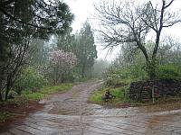 Alternativer Weg zur Piste