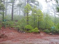 Wanderweg nach Piste