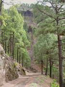 Wanderweg parallel zur Ruta de los Volcanes