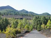 Strasse Richtung Refugio El Pilar