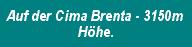 Auf der Cima Brenta - 3150m H&ouml;he.