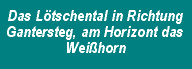Das L&ouml;tschental in Richtung Gantersteg, am Horizont das Wei&szlig;horn