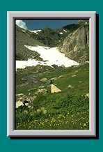 Wanderweg zum Gipfel des Ferdenrothorn, Fr&uuml;hling im Juli