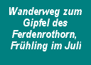 Wanderweg zum Gipfel des Ferdenrothorn, Fr&uuml;hling im Juli