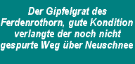 Der Gipfelgrat des Ferdenrothorn, gute Kondition verlangte der noch nicht gespurte Weg &uuml;ber Neuschnee
