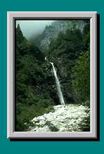 Oberhalb des Wasserfalls konnte ich zum Gl&uuml;ck links in den Wald ausweichen.