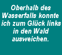 Oberhalb des Wasserfalls konnte ich zum Gl&uuml;ck links in den Wald ausweichen.