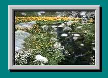 An der Fahrstra&szlig;e gegen&uuml;ber dem Ancien Hospice