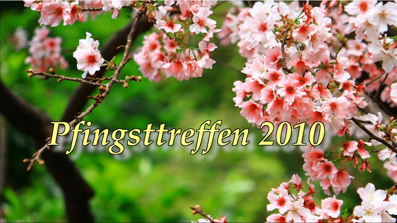 Pfingsttreffen 2010